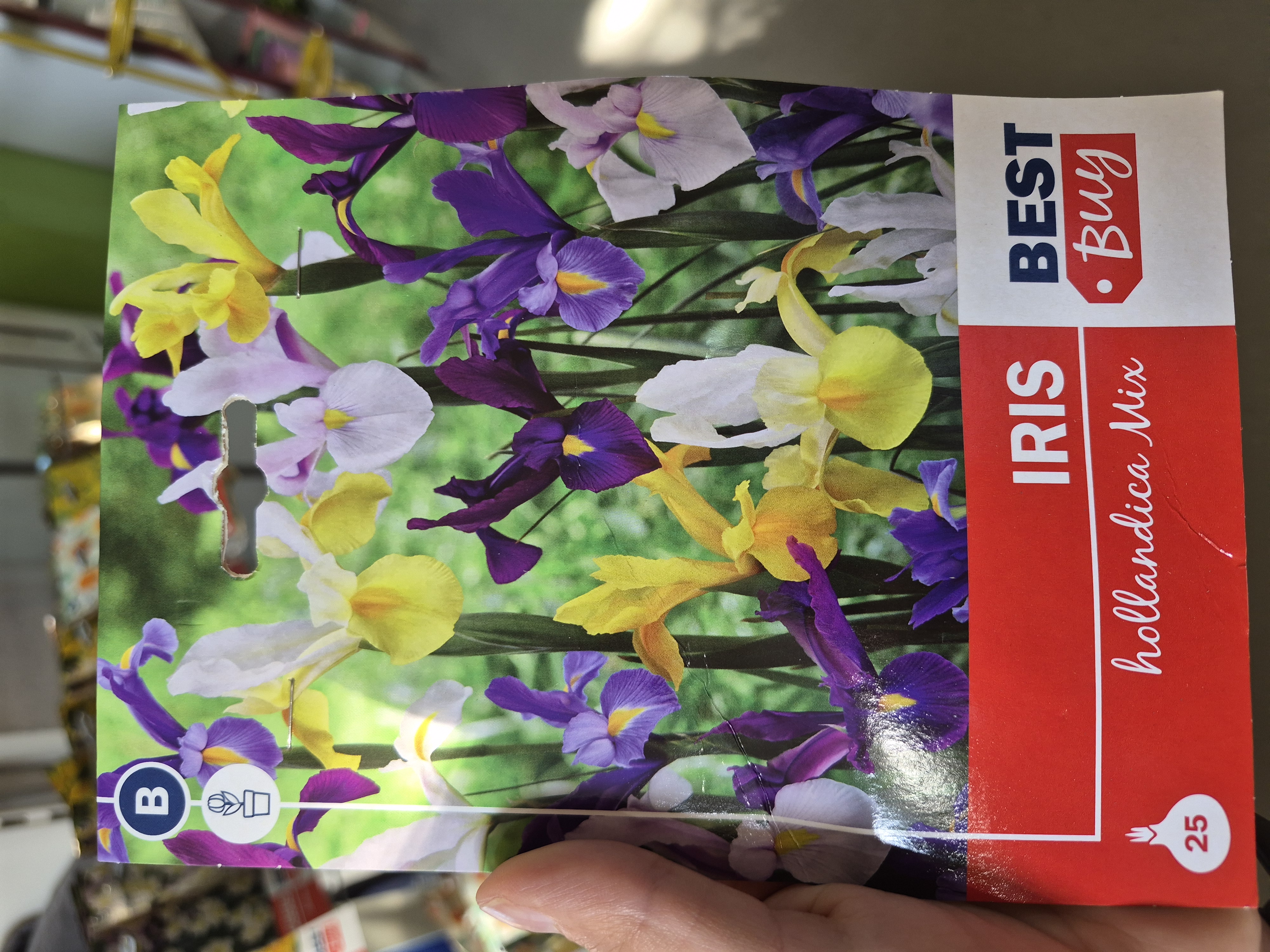 Iris