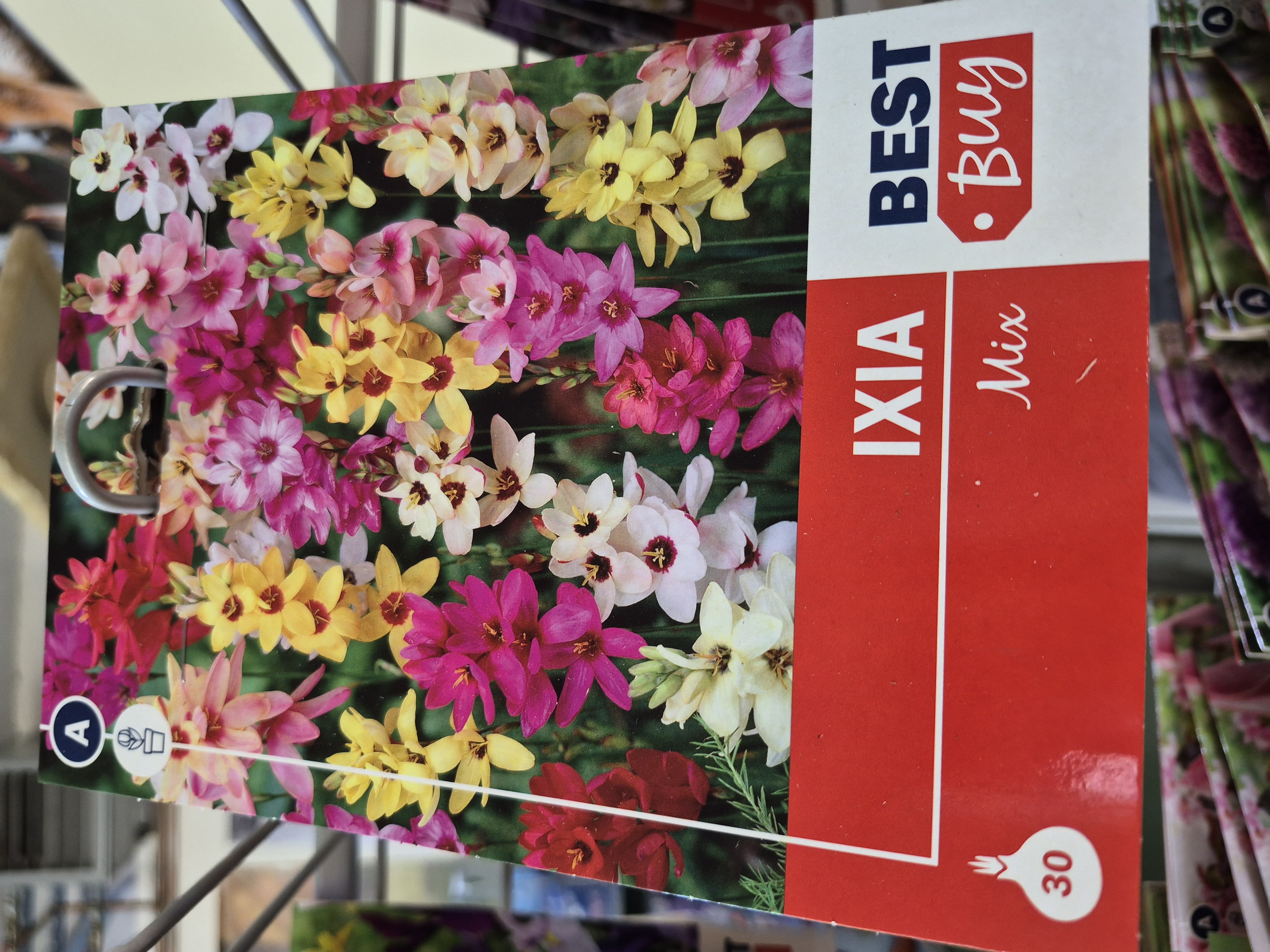 Ixia