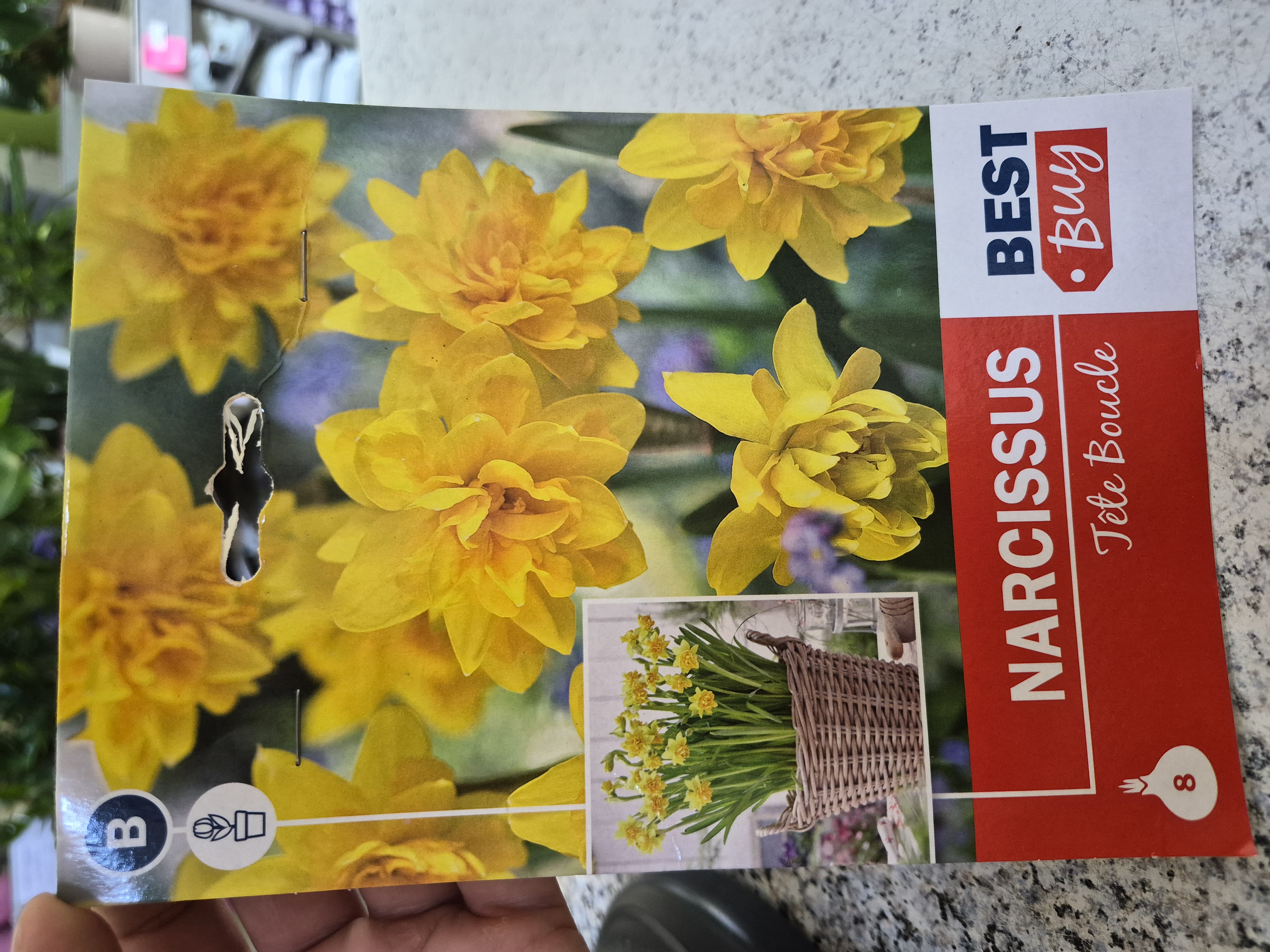 Narcis Tete Boucle