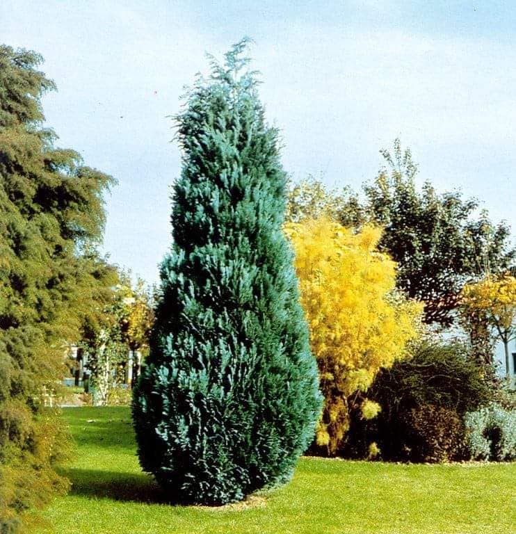 blog image